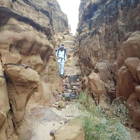 Bedouin Stylelife Camp Hotel Rum vádi Kültér fotó